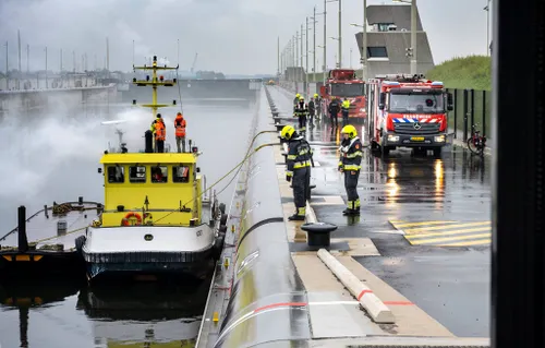 254228636 195323596108344 189067574354668783 n