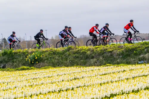 2787 9730522dddfdb96edf736274e9e71877