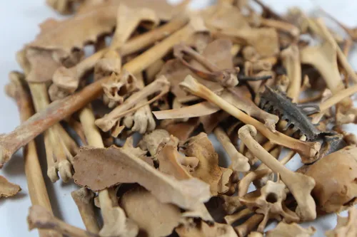 3 vogelbotten gevonden bij huis ter kleef