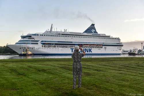 306337178 426212006165892 947455973709230284 n