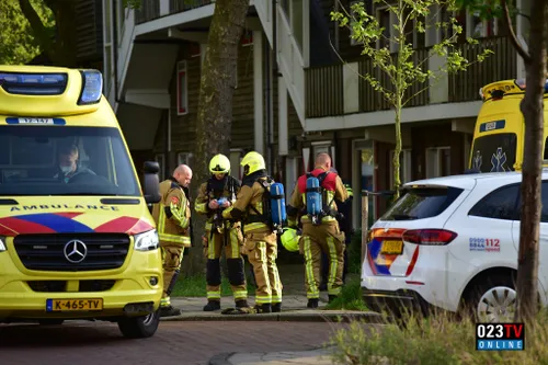 438095900 2136796433365007 2544735830850754882 n