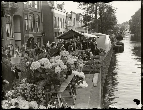 59f5f901 3ace 007b 412e 1468446c6eee 0