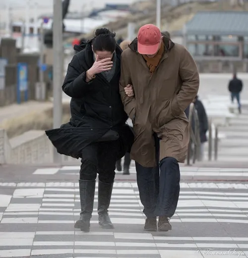 84576440 2658565327576050 5610393556880457728 o