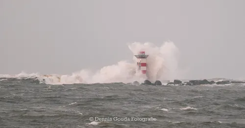 85047450 184789449533081 2715472504297619456 o 1