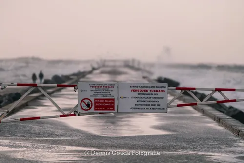 86271696 184788819533144 3054682484395474944 o