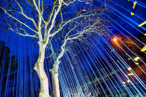 87396965 2655396348023326 4967079688699641856 o