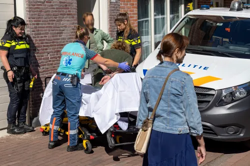 95d17add 65df 42c7 b892 a6a7f4169417