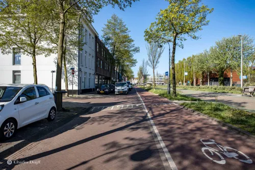 a damsevrt bij poortstraat