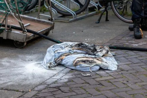 a1eb156c ecca 459b 9b40 3da66892e12d