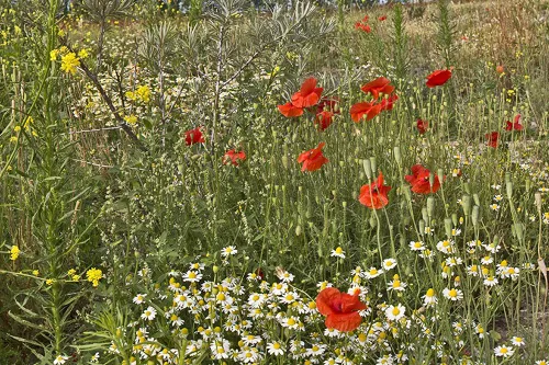 aagtenpark panorama8