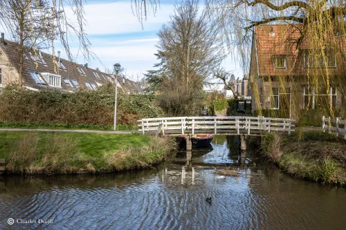 achtertuinen hyacointenlaan