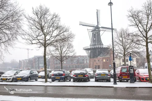 adriaan in sneeuw
