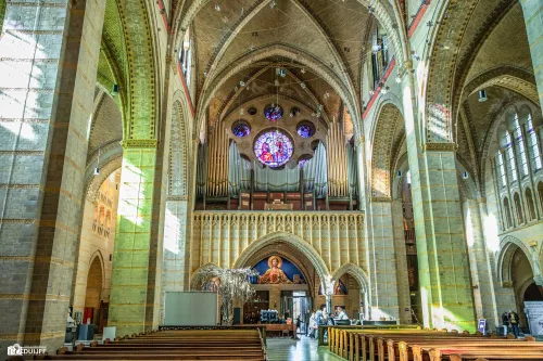 bavo basiliek1