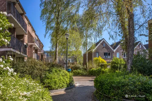 bernhard ijzerdraadpl