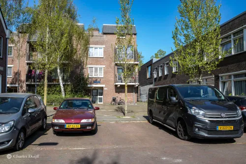 berrnhard ijzerdraadhof