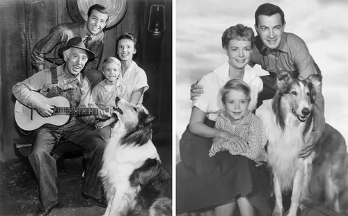 casts lassie wiki