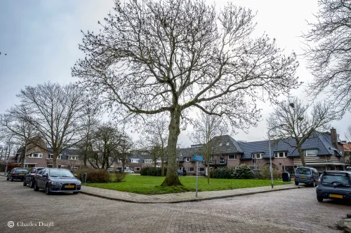 christiaan huygenplein