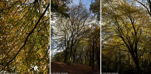 combi velserbeek 1024x507