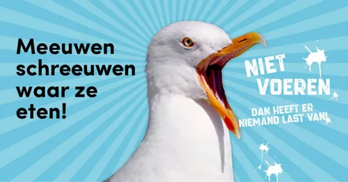 csm wk14 meeuwen 002 ba6e37ddc9