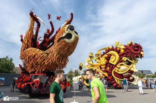 do not disturb en shaman