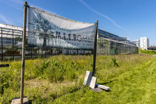 doek stichting meer groen