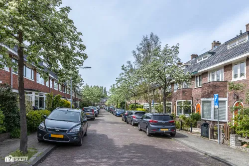 dolfijnstraat2