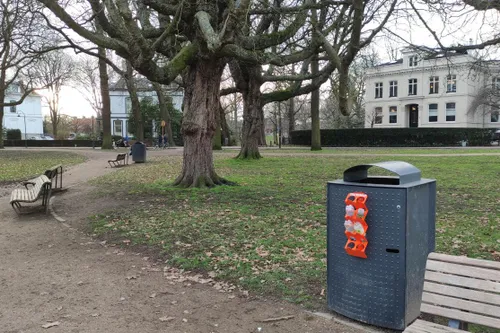 doneer ring heleen 2