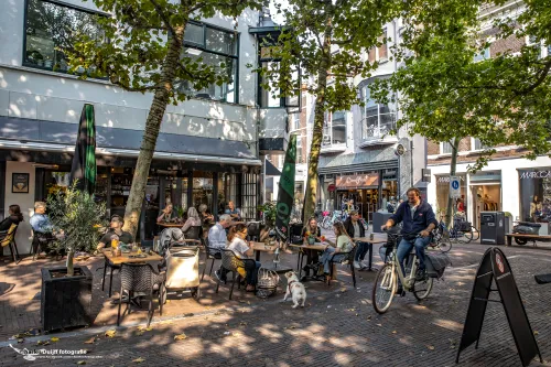 gierstr gr houtstr terras