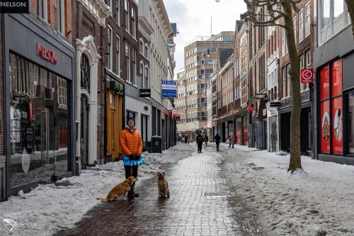 grote houtstraat nelson 1