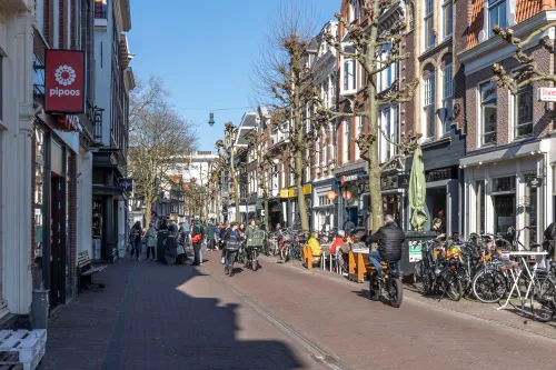grote houtstraat zon