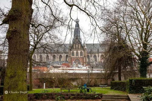 grote kerk vanuit tuin