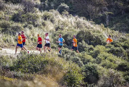 halve van haarlem duinen