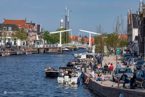 handhavers en vissen