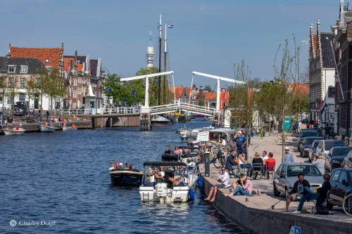 handhavers en vissen