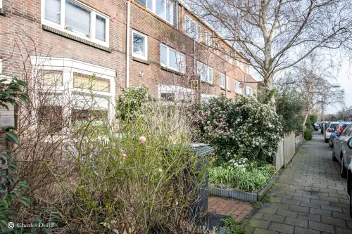 hoffstraat vt bloementuin