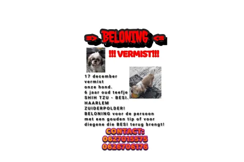 hond