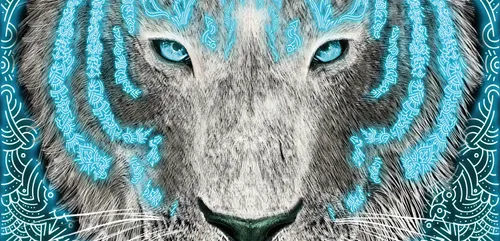 horizontaal 001 1 kopieren