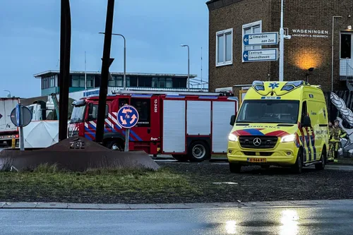 img 20240102 wa0031 kopieren