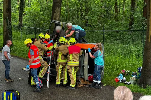 img 20240516 wa0014 kopieren