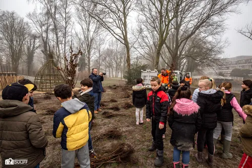 in ontvangst nemen bomen