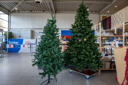 kerstbomen