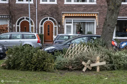 kerstbomen weg