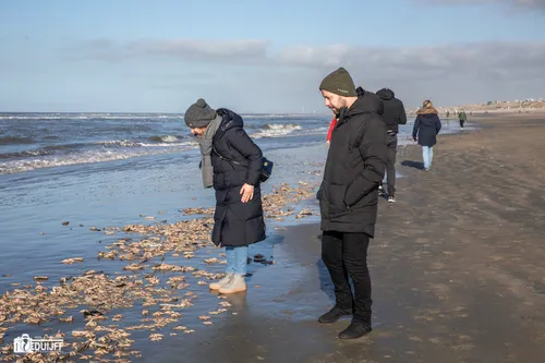 kijken naar zeesterren