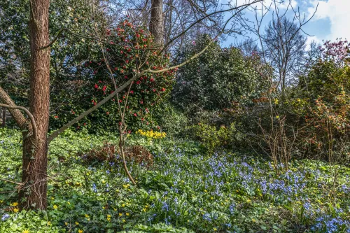 kleurrijk kweektuin 1