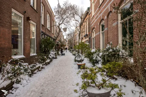 korte houtstraat canon r