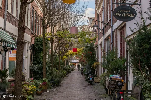 korte houtstraat