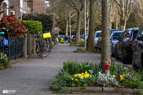 kweektuinstraat bloemen 1