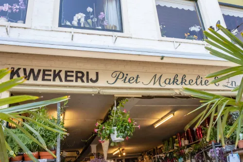 kwekerij piet makkeliejpg