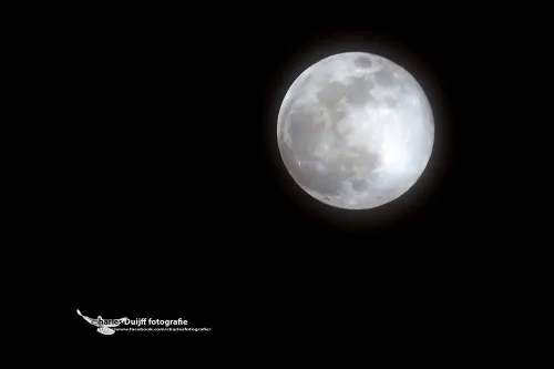 maan mooi kl