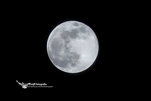 maan mooi2 kl